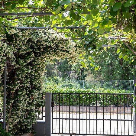 Apartmani Dina Biograd Na Moru Ngoại thất bức ảnh
